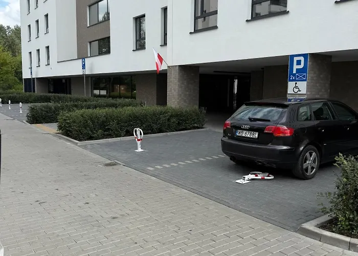 Forest Vi Urbino * وارسو